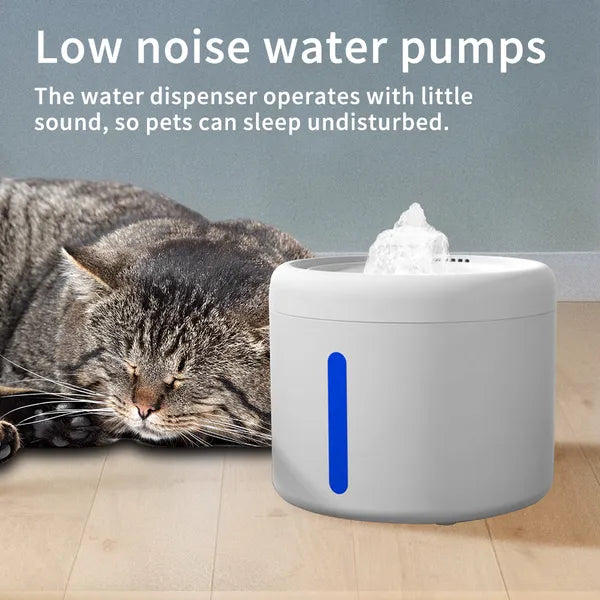 Pet fountain size