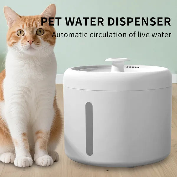 Pet fountain top view