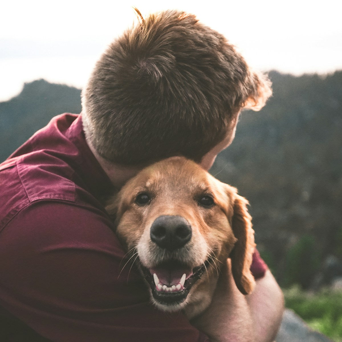 Man hugging his dog, pet care